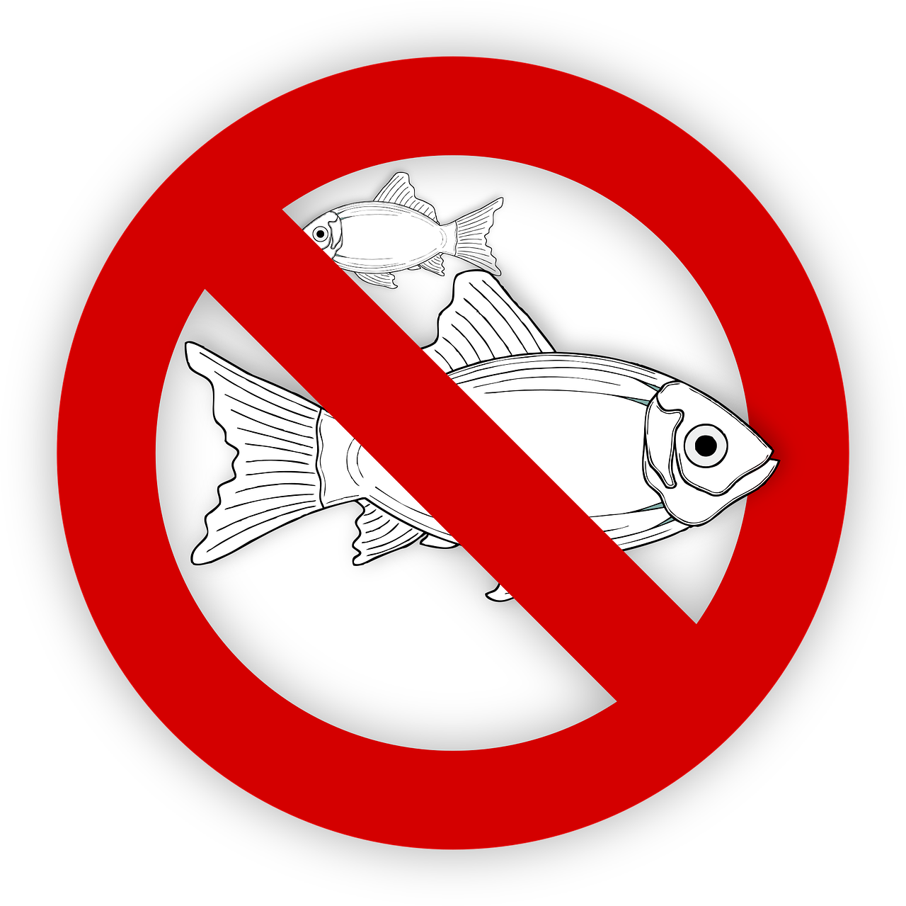 pixabay-995050-23.png